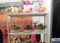 ІІІ Міжнародна спеціалізована виставка з виробництва, обробки, переробки та зберігання плодоовочевої продукції в Україні та СНД Логістика та торгівля у плодоовочевій індустрії